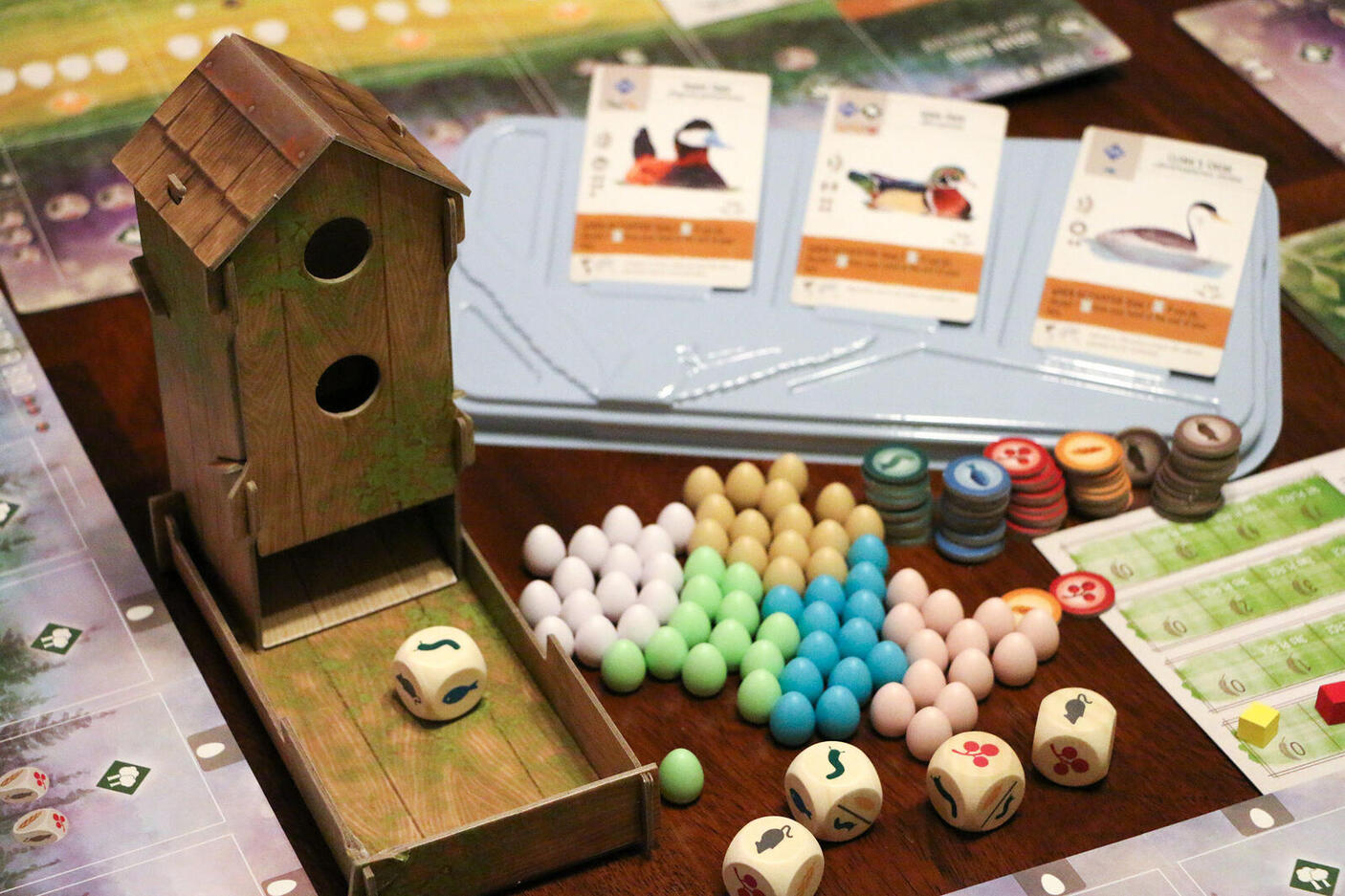 A bird-themed board game, Wingspan, laid out on a table.